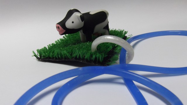 mooing cow